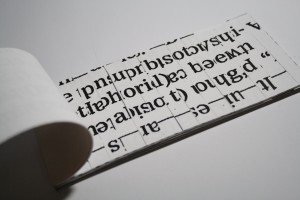 IMG_4490 copy