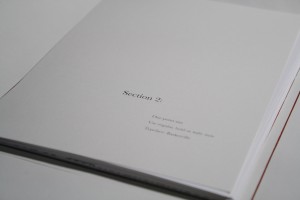 IMG_4534 copy