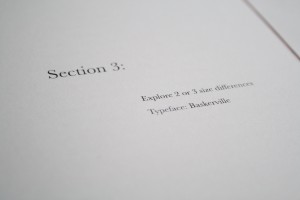 IMG_4547 copy